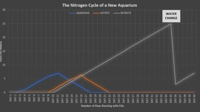 Nitrogen Cycle of a New Aquarium