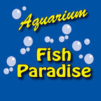 Columnaris Disease – Aquarium Fish Paradise – Adelaide SA