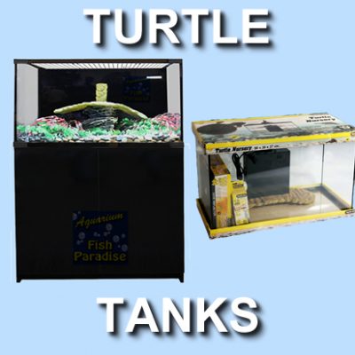 Turtle Tanks